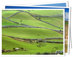Abitur in Irland